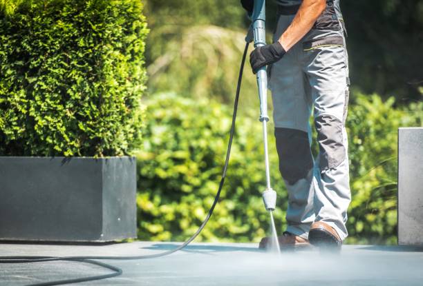 Best Warehouse Cleaning  in Morrisonvle, IL