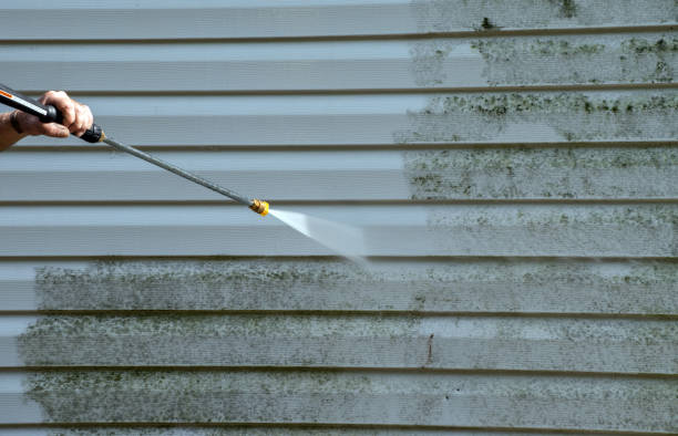 Best Dumpster Area Cleaning  in Morrisonvle, IL