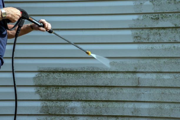 Best Roof Washing  in Morrisonvle, IL